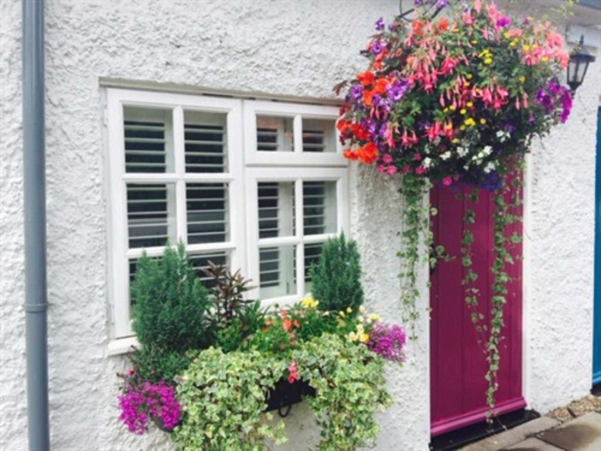The Swan Inn 낸트위치 외부 사진